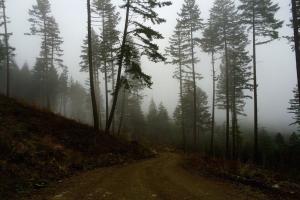 Why We Can't Be Afraid of Exploring the World